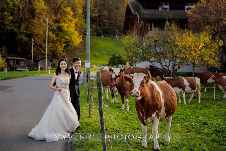 Switzerland,意大利,婚纱摄影,旅拍,欧洲旅拍,wedding